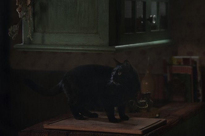 Chilling Adventures of Sabrina - Season 1 - Chapter Four: Witch Academy - Photos