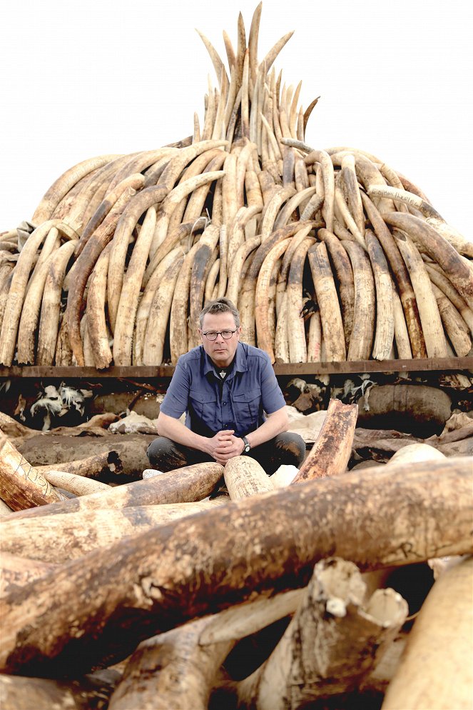 Saving Africa's Elephants: Hugh and the Ivory War - Filmfotos