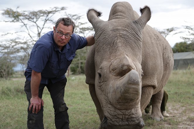 Saving Africa's Elephants: Hugh and the Ivory War - Z filmu