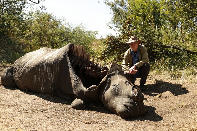 Elefántmentés Afrikában: Hugh és az elefántcsontipar - Filmfotók