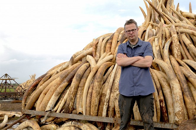 Elefántmentés Afrikában: Hugh és az elefántcsontipar - Filmfotók