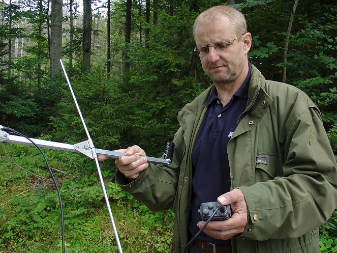 Europas Urwälder - Filmfotók