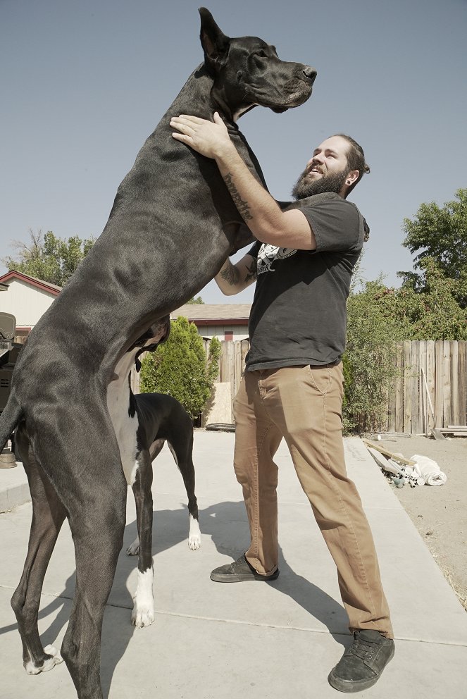 The Biggest Dog in the World - Film