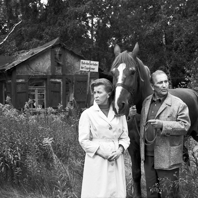 Die Pferdekur - Filmfotók - Helga Göring, Walter Richter-Reinick