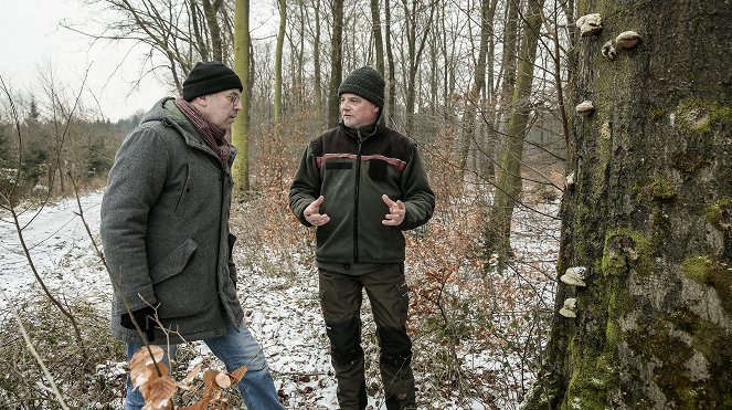Unsere Wälder - Der Arnsberger Wald im Winter - Wolfskuhlen, Winterstürme und eine japanische Hirschart - Film