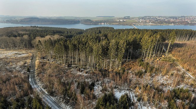 Unsere Wälder - Der Arnsberger Wald im Winter - Wolfskuhlen, Winterstürme und eine japanische Hirschart - Filmfotos