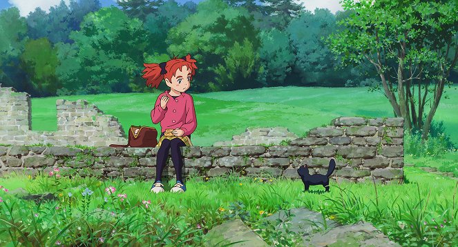 Mary and the Witch's Flower - Photos