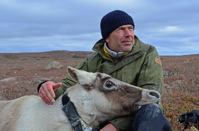 Terra X: Faszination Erde - mit Dirk Steffens: Kanada - Schatz der Kälte - Filmfotók - Dirk Steffens