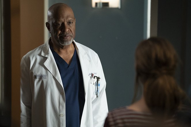 Grey's Anatomy - Shelter From the Storm - Van film - James Pickens Jr.