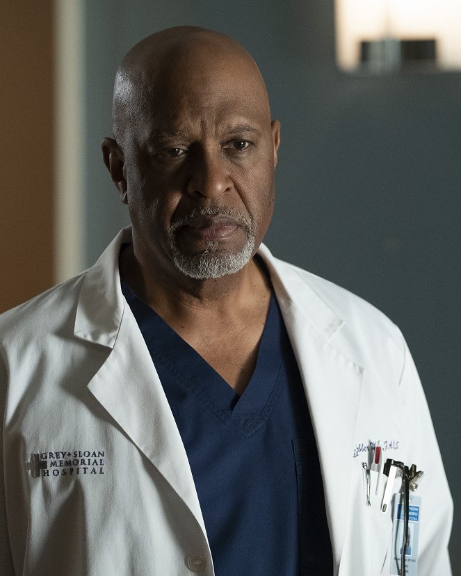 Grey's Anatomy - Shelter From the Storm - Film - James Pickens Jr.