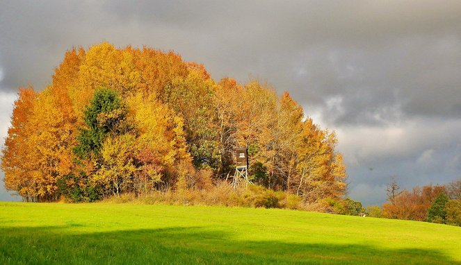 The Meadow - Paradise Lost? - Photos