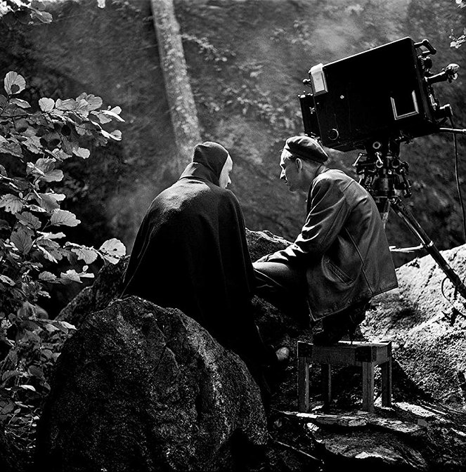 Bergman – Um Ano, Uma Vida - De filmagens