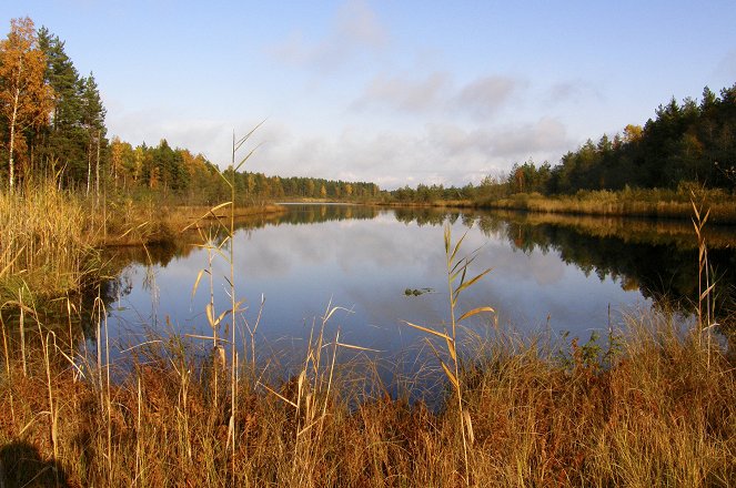 Europas wilder Osten - Der Nationalpark Slitere in Lettland - De la película