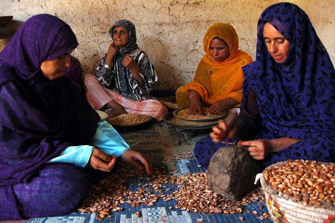 Arganöl aus Marokko - Köstlich und kostbar - Photos