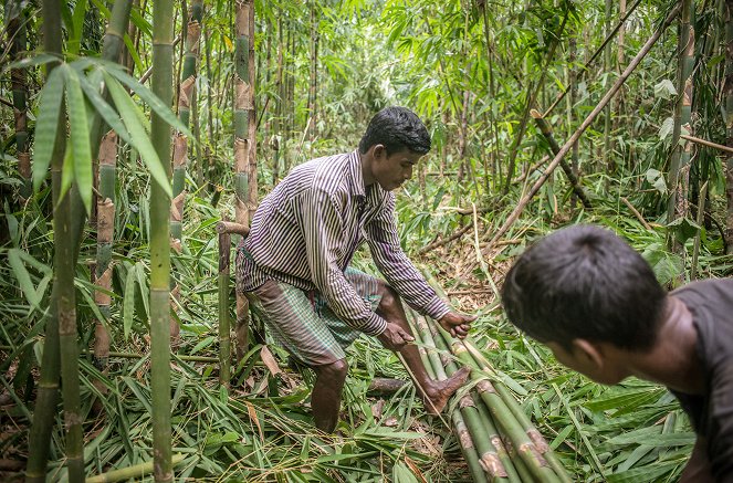 Die Bambusflößer von Bangladesch - Kuvat elokuvasta