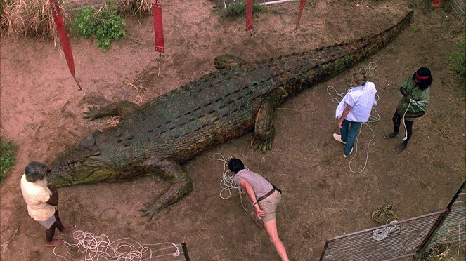 A krokodilvadász - Filmfotók