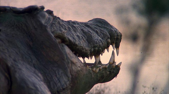 Crocodile - Killer from the Dark Age - Filmfotos