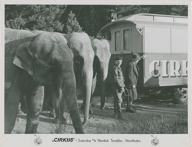 Cirkus - Lobbykarten
