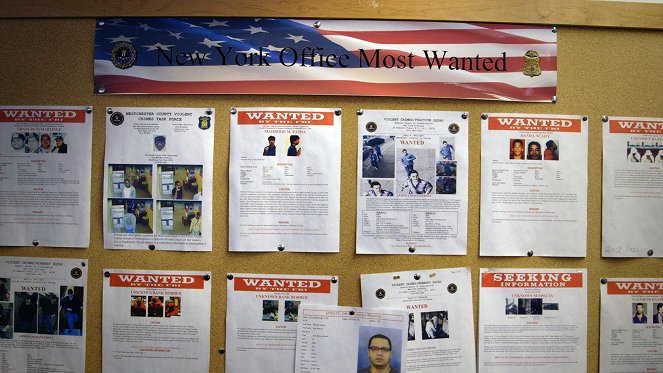 Inside the FBI: New York - Deviant Crimes - Photos