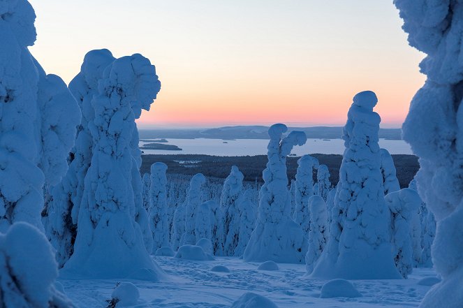 Aïlo : Une odyssée en Laponie - Do filme