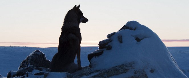Aïlo : Une odyssée en Laponie - De la película