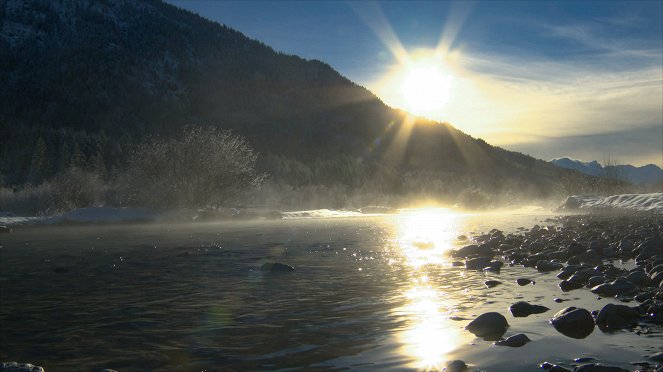 Universum: Naturparadies Seefeld - Im Reich des Wanderfalken - Van film