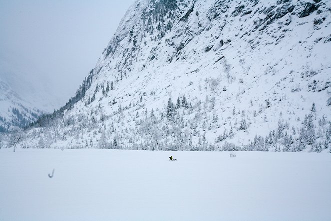 Universum: Naturparadies Seefeld - Im Reich des Wanderfalken - Van film