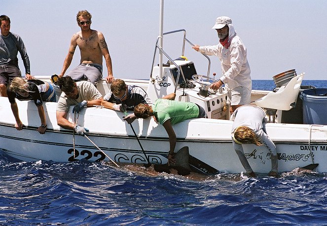 Geheimnisvolle Tigerhaie - Spurensuche im Ozean - Kuvat elokuvasta