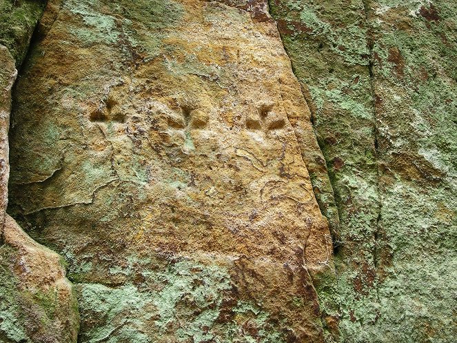 Tajný život skal - Znaky ve skalách - Filmfotók