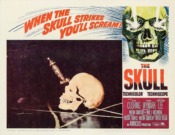 The Skull - Vitrinfotók