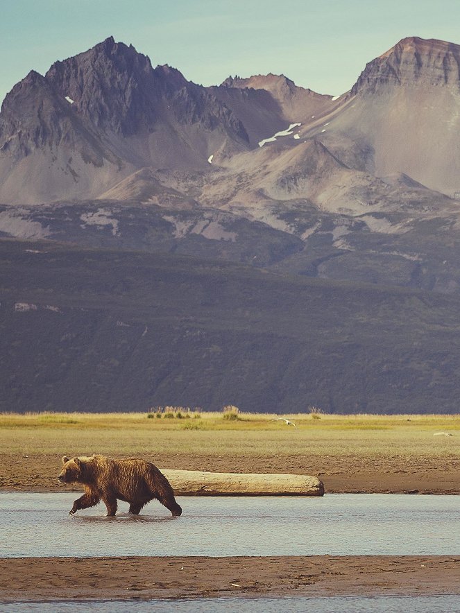 Wildlife Alaska – Ranger im Einsatz - Werbefoto