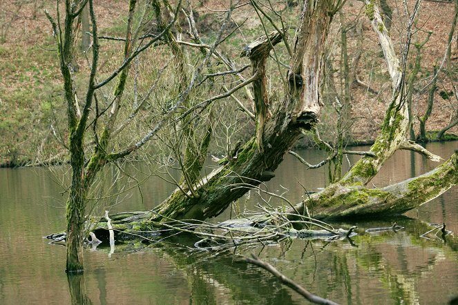 A Wupper – Németország vad folyója - Filmfotók