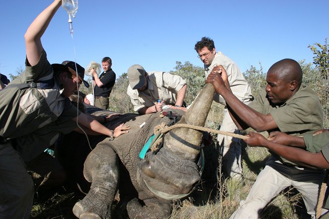 Rhinos in the Freezer - De la película