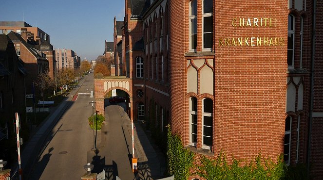 Die Charité - Medizin unterm Hakenkreuz - Z filmu