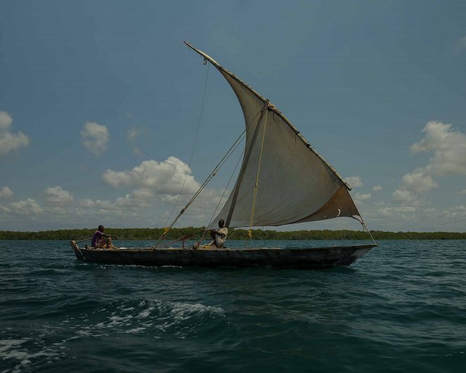 Tanzanie de Zanzibar à Kilwa - De la película