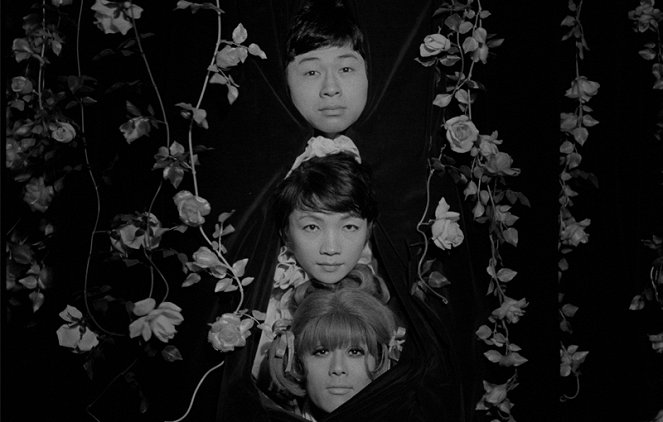 Funeral Parade of Roses - Photos