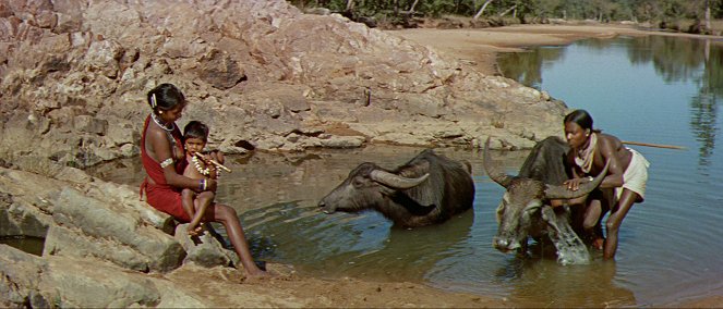 En djungelsaga - De la película
