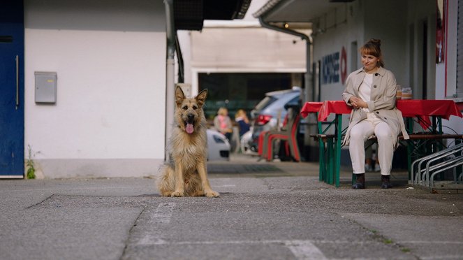 Racko - Ein Hund für alle Fälle - Schweres Erbe - Van film - Ines Hollinger