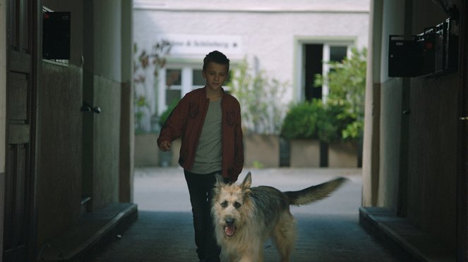 Racko - Ein Hund für alle Fälle - Schweres Erbe - Van film - Leon de Greiff