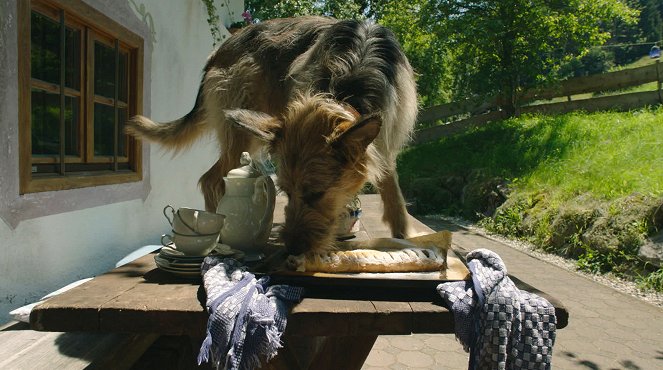 Racko - Ein Hund für alle Fälle - Das Angebot - De la película