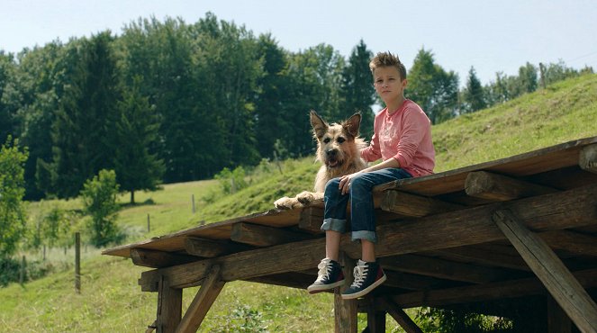 Racko - Ein Hund für alle Fälle - Das Angebot - De la película - Lino de Greiff