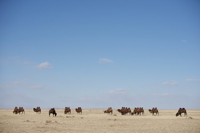 Wild Mongolia: Land of Extremes - Van film
