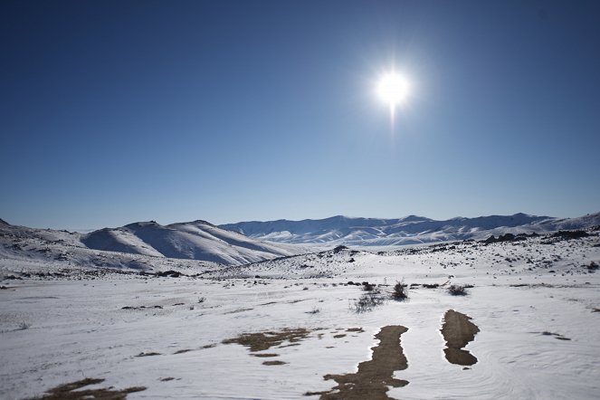 Destination Wild: Wild Mongolia - Photos