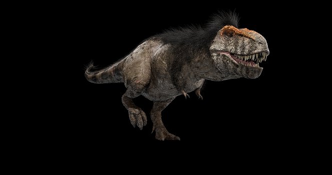 Znovuobjevení tyranosaura - Z filmu