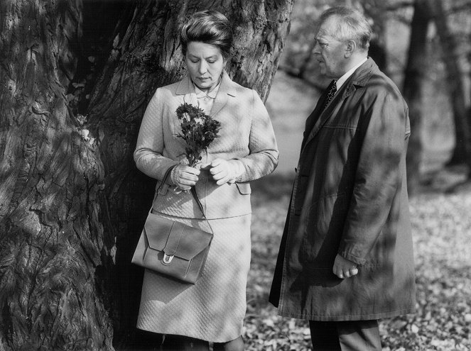 Romeo a Julie na konci listopadu - De la película - Dana Medřická, Karel Höger