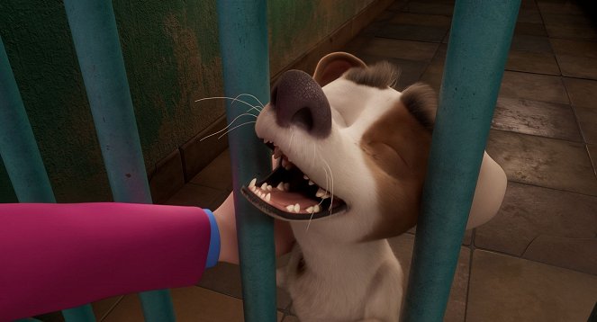 Cai na Real, Corgi - Do filme