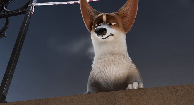 Cai na Real, Corgi - Do filme