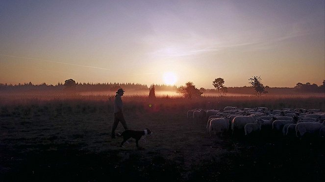 Posledný pastier - Z filmu