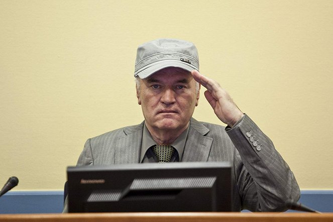 The Trial of Ratko Mladić - Van film