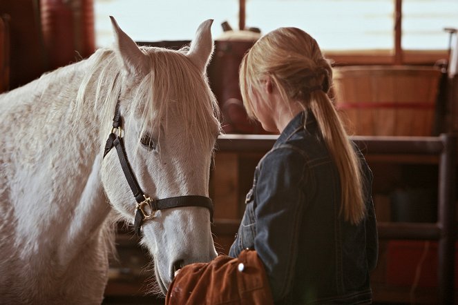 Heartland - Paradies für Pferde - Unter Quarantäne - Filmfotos